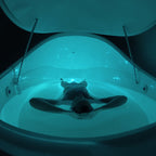 V2 Flotation Sensory Isolation Tank Pod Spa